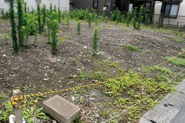 いらない土地だけを相続放棄できる？