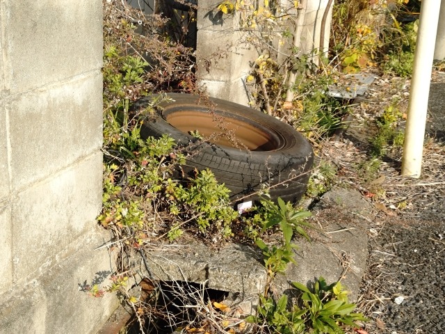 不要な土地の放置は危険？無償譲渡をした方がいい理由とは？