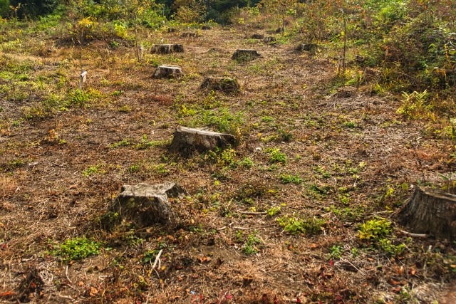 原野商法の二次被害とは