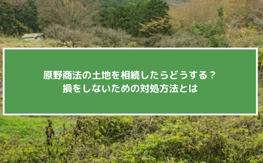 原野商法の土地を相続したらどうする？損をしないための対処方法とは