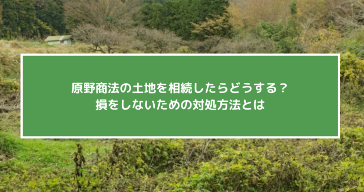 原野商法の土地を相続したらどうする？損をしないための対処方法とは
