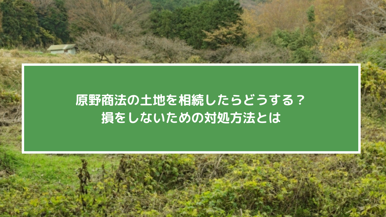 原野商法の土地を相続したらどうする？損をしないための対処方法とは